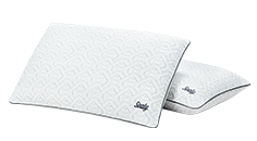 Sealy Premium Memory Foam & Gel Support Pillow Bed