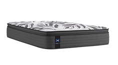 Sealy 1000 Series Bed