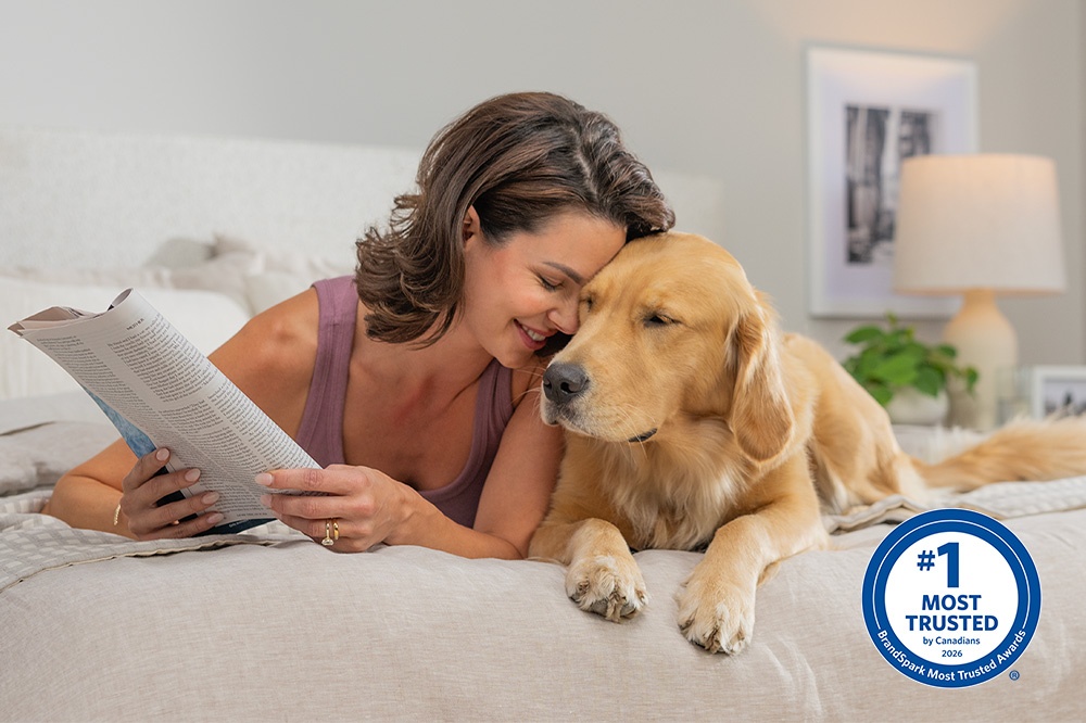 sealy-brandspart-eng-2025