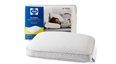 Sealy® Classic Memory Foam Pillow Bed