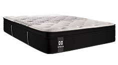 Sealy Z5™ & Double Back Support™ Collections Bed