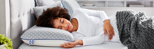 sealy-pillow-page-header-2024